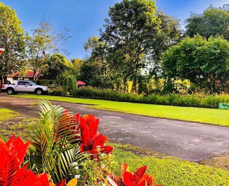 فندق Befox Adventure La Fortuna المظهر الخارجي الصورة