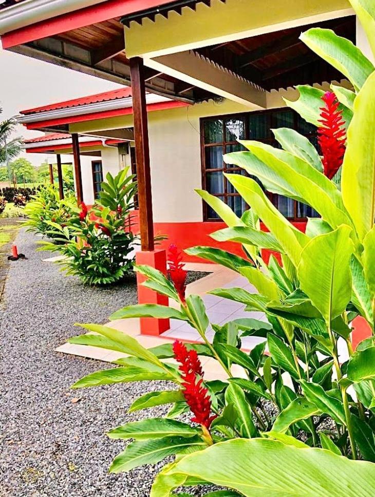 فندق Befox Adventure La Fortuna المظهر الخارجي الصورة