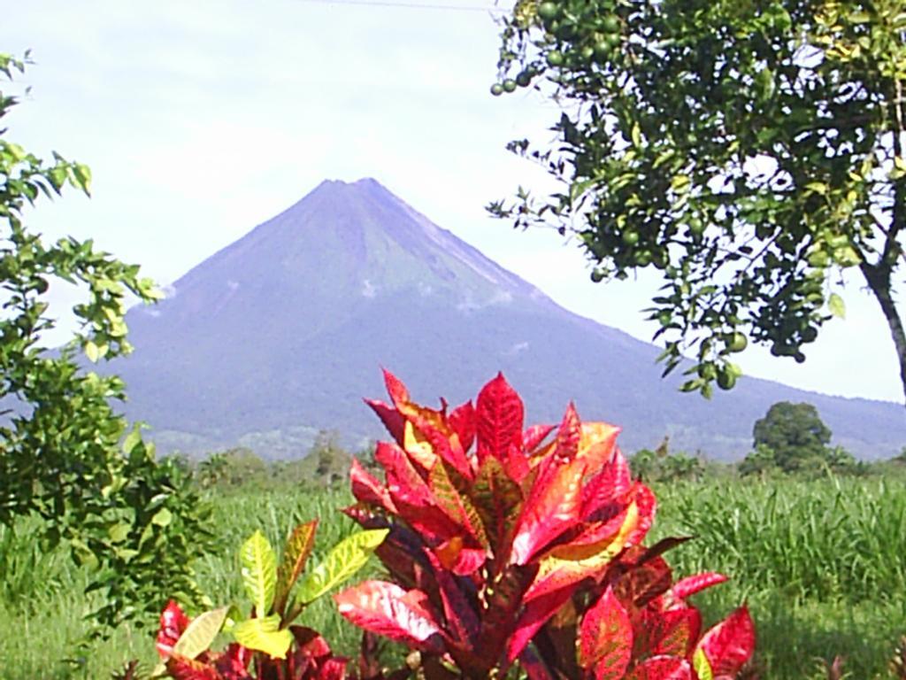 فندق Befox Adventure La Fortuna المظهر الخارجي الصورة