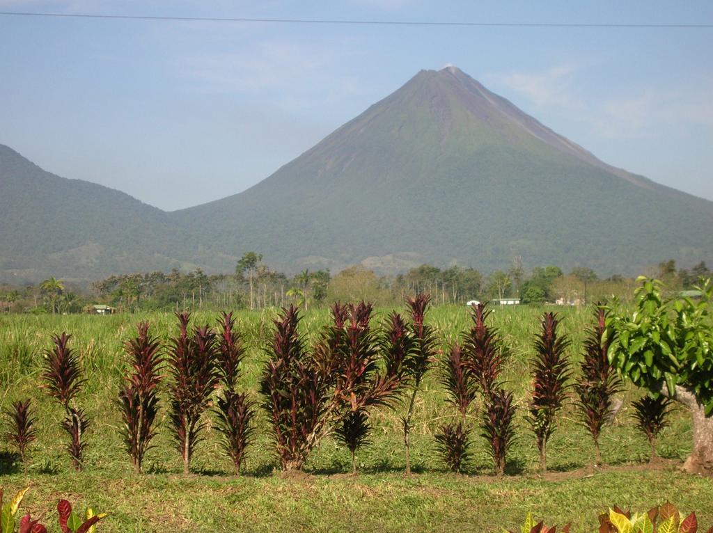 فندق Befox Adventure La Fortuna المظهر الخارجي الصورة