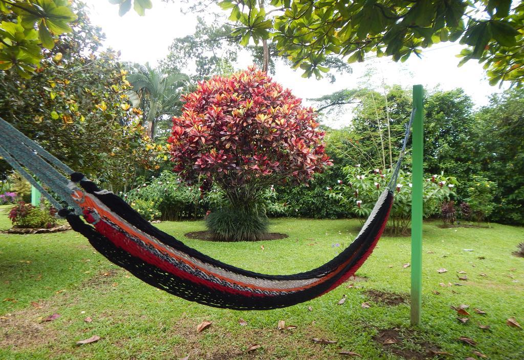 فندق Befox Adventure La Fortuna المظهر الخارجي الصورة